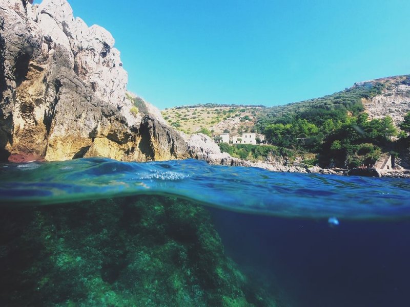 snorkeling.jpg